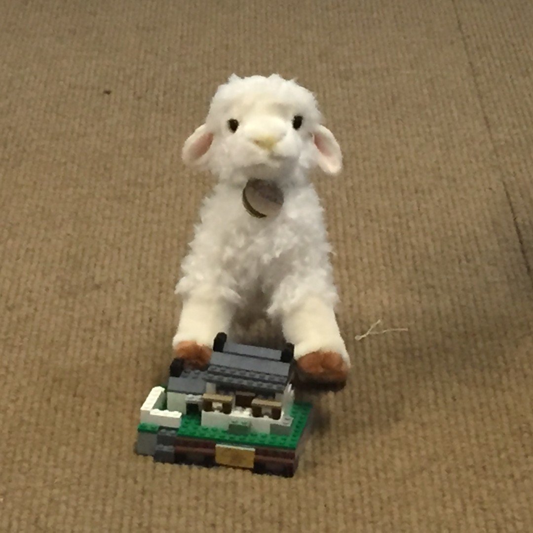 DyckmanFarm's tweet photo. Our Recycled Lego Farmhouse kits are Mini Luna approved. Stop by our gift shop to pick up one, or both, of these fun gifts.
#Dyckmanfarmhouse #LunaDFM #lunaonthelamb https://t.co/VjVACGgMKh