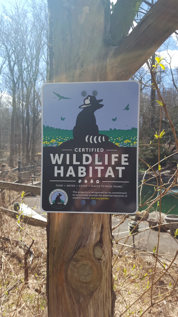 Spring is on the horizon! We have our official sign showing everyone we are a certified Wildlife Habitat area through the National Wildlife Federation!