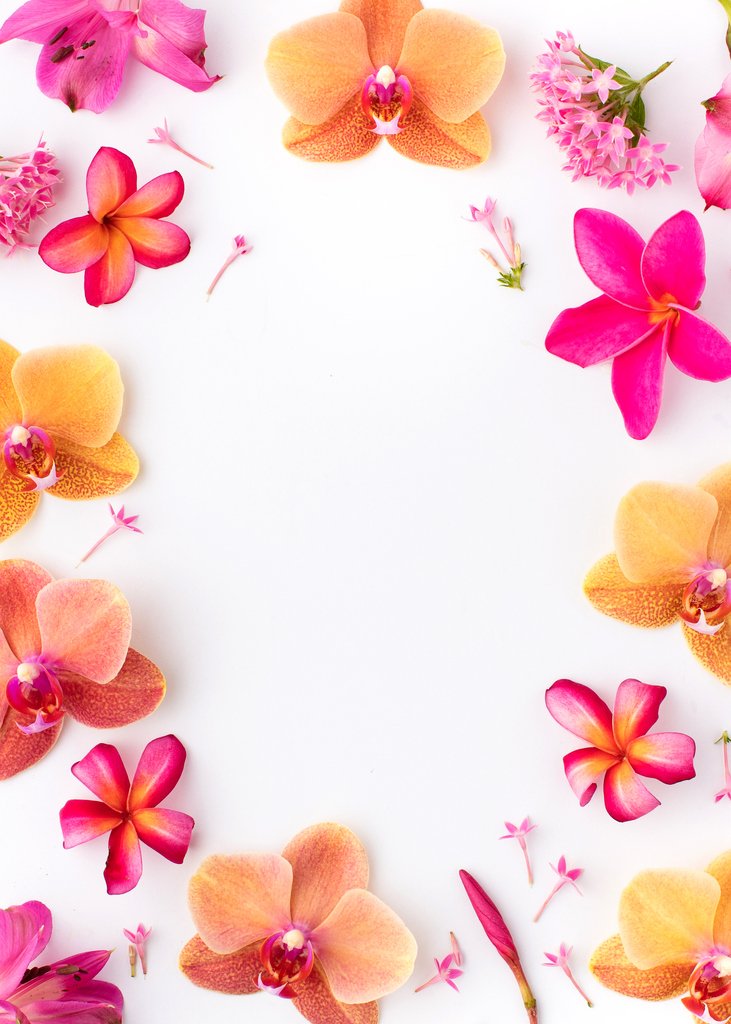 NoteologyFrag's tweet photo. With 🌱spring 🌱 right around the corner, our thoughts turn to florals! Whether its Orchid Noir, Honey Blossom, Pink Peony or a custom perfume that blends you favorites, we're ready for a new spritz.
#nicheperfume #modernfragrance #notefragrances #customperfume #sotd https://t.co/kwcau35RDh