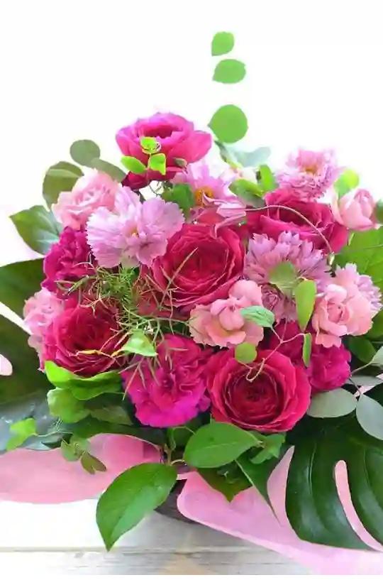 <a href="/Srmovie1/">Manoel nery</a> <a href="/Rinavaorietmo/">@rinava🐶🐈🐾🐾🙌</a> <a href="/schris_11/">Sandra 🐾🇧🇷</a> <a href="/silvyalit/">CAT WOMAN</a> <a href="/biareiiis/">💮 Beatriz</a> <a href="/ergm_regina/">Ellen_regin@ 💜🌵🤙</a> <a href="/fernandesuelen/">Sueli Fernandes🇧🇷</a> <a href="/eurenatamartins/">Renata ☆</a> <a href="/LilicadeAlmeida/">LilicaDeAlmeida</a> <a href="/valmarkss/">Valeria Marques</a> <a href="/jcastroamorim1/">Amjcastro24 💖Janete</a> <a href="/natirivero/">Nati Rivero</a> @SilvaGsme <a href="/Ana2ja/">Aninha Sousa</a> <a href="/mazya14/">Mázya Helane 🛸👽</a> <a href="/mara_assis/">MARA</a> <a href="/ValquiriaRuiva/">Valquiria Ruiva</a> <a href="/joelenea/">joelene armugam</a> <a href="/luaestrela5/">MONICA</a> <a href="/martinhagatosa/">martinha 💋</a> <a href="/TellaMiguel4/">⭐Stella Miguel⭐</a> <a href="/lilianbonino/">bonino</a> <a href="/AdrianaFrancisS/">Adriana Francis S</a> <a href="/ritacmil/">Rita1000</a> <a href="/martaeunicereal/">Marta Eunice 🐬🦋</a> <a href="/eliene_silv/">Eliene silva</a> <a href="/SimoneA05421311/">Simone Aparecida</a> <a href="/pinho1900/">adriana m.b.de pinho</a> obrigada 
Boa tarde