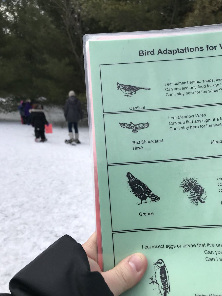 LoomisCentre's tweet photo. Everything BIRDS! We are SOOOO feeling the spring in the air with Mrs Dodgson’s SVPS Kinders #somewinterstillbutsomespring #foundsomemud #KPROutdoorEd @kprschools @kprearlyyears @springvalleyps https://t.co/WvUocj026l