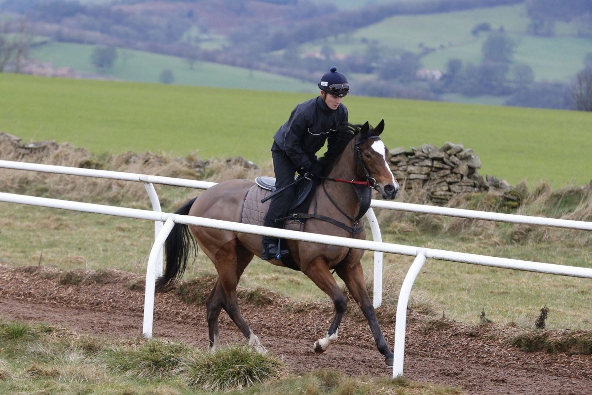 Doon1976's tweet photo. Not long until Mavis makes her racecourse debut 🐎
#FlightOfThunder

@kevinryanracing 
@HambletonRacing https://t.co/U5pQkSpbWW
