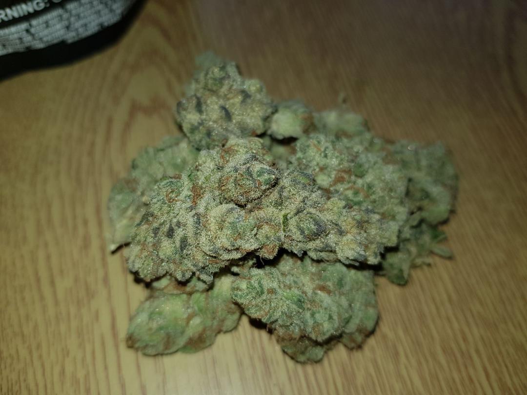 __JamieB's tweet photo. This #MittenCakeBatter is amazing! Such beautiful buds!

Fantastic scent and such an amazing taste, I am in love this #strain!

#CannabisCommunity #Cannafam #Stonerfam #Stoned #Dank #JungleBoys #TLC #LAFarmers #PlayingWithFire #Tasty https://t.co/UjoMx9KJuj