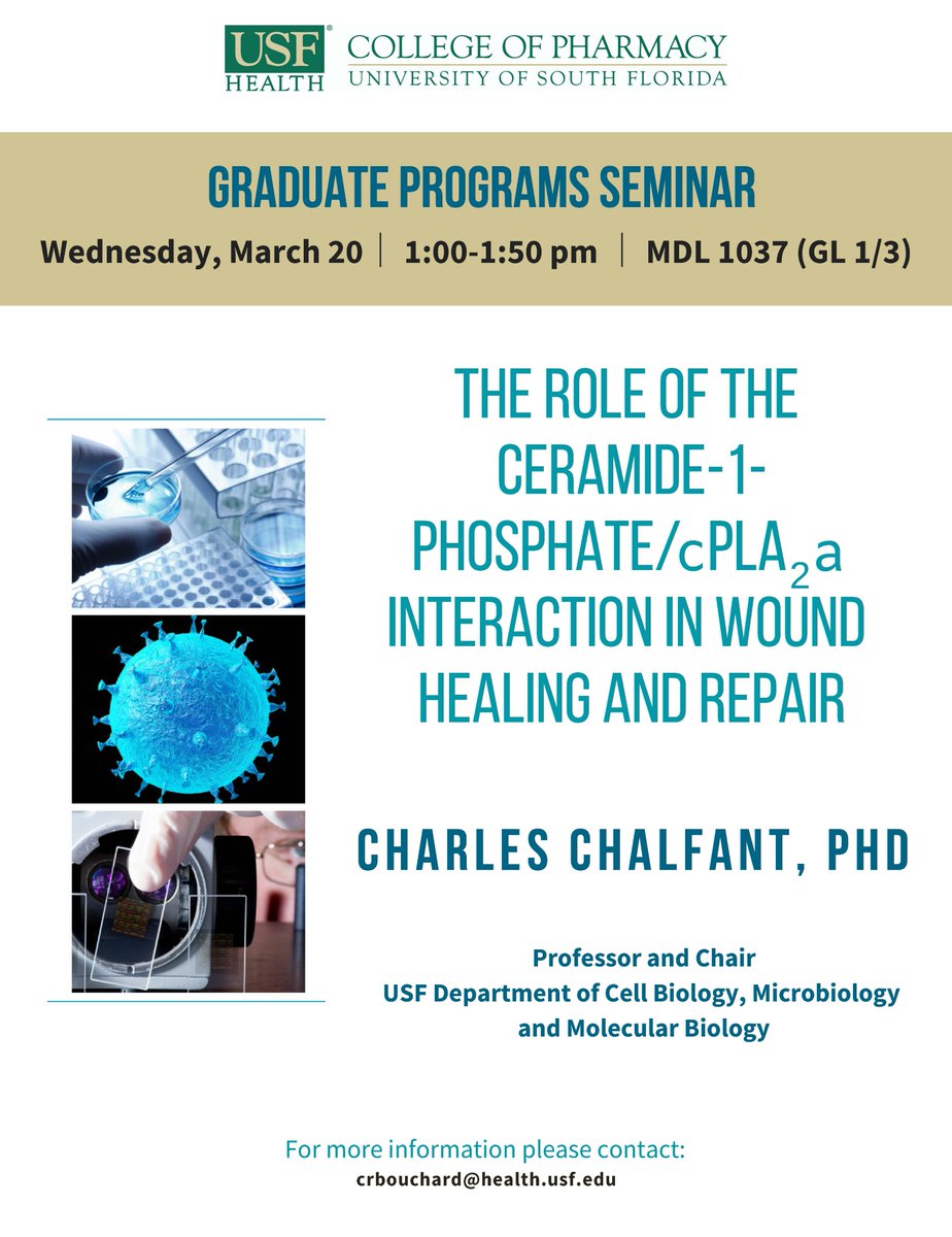 Usf Masters Programs >> Graduate Programs Seminar Tomorrow 3 20 At 1pm Room Mdl Usf Masters Programs >> Graduate Programs Seminar Tomorrow 3 20 At 1pm Room Mdl