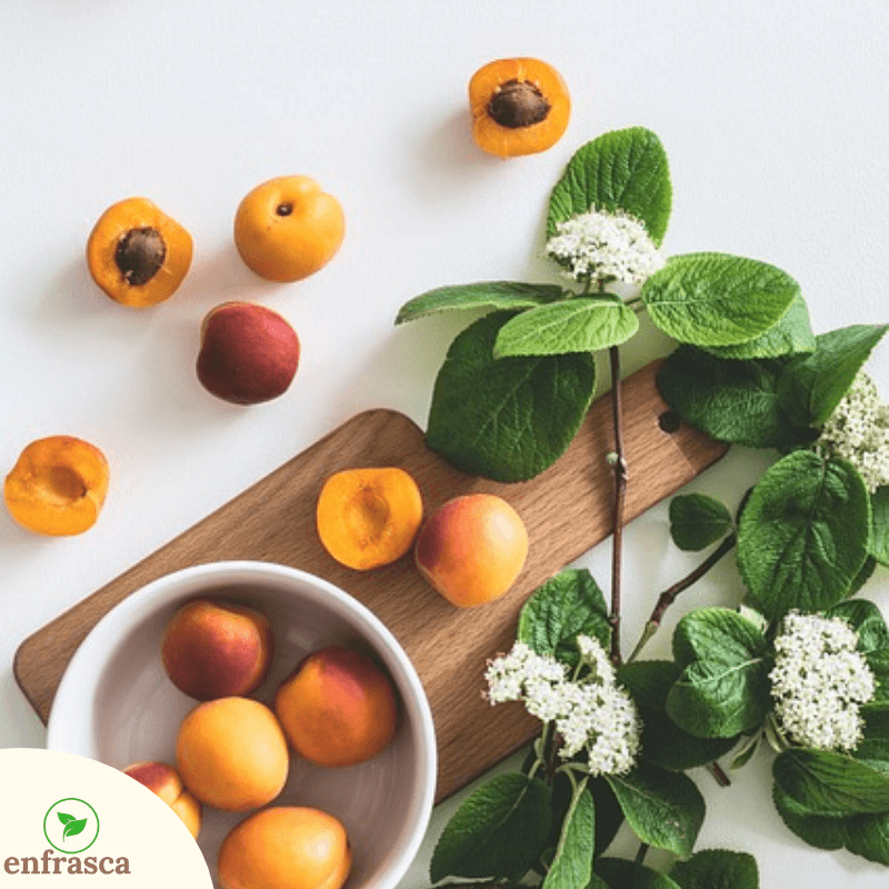 enfrasca's tweet photo. Beneficios del durazno para la salud 🍑:

1. Es un potente antioxidante que, entre otros aspectos, ayuda a prevenir la aparición del cáncer.

2. Ayuda a controlar el sistema de azúcar en sangre.

#Pzo #PuertoOrdaz #CiudadGuayana https://t.co/NIdy3TVtWv