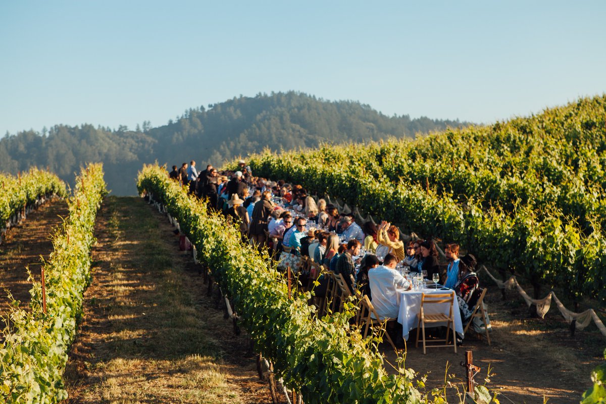 Tickets go on sale TOMORROW for @Out_intheField Summer Season. Join Farmshop Marin at McEvoy Ranch on Tuesday, June 18th for an evening to remember!