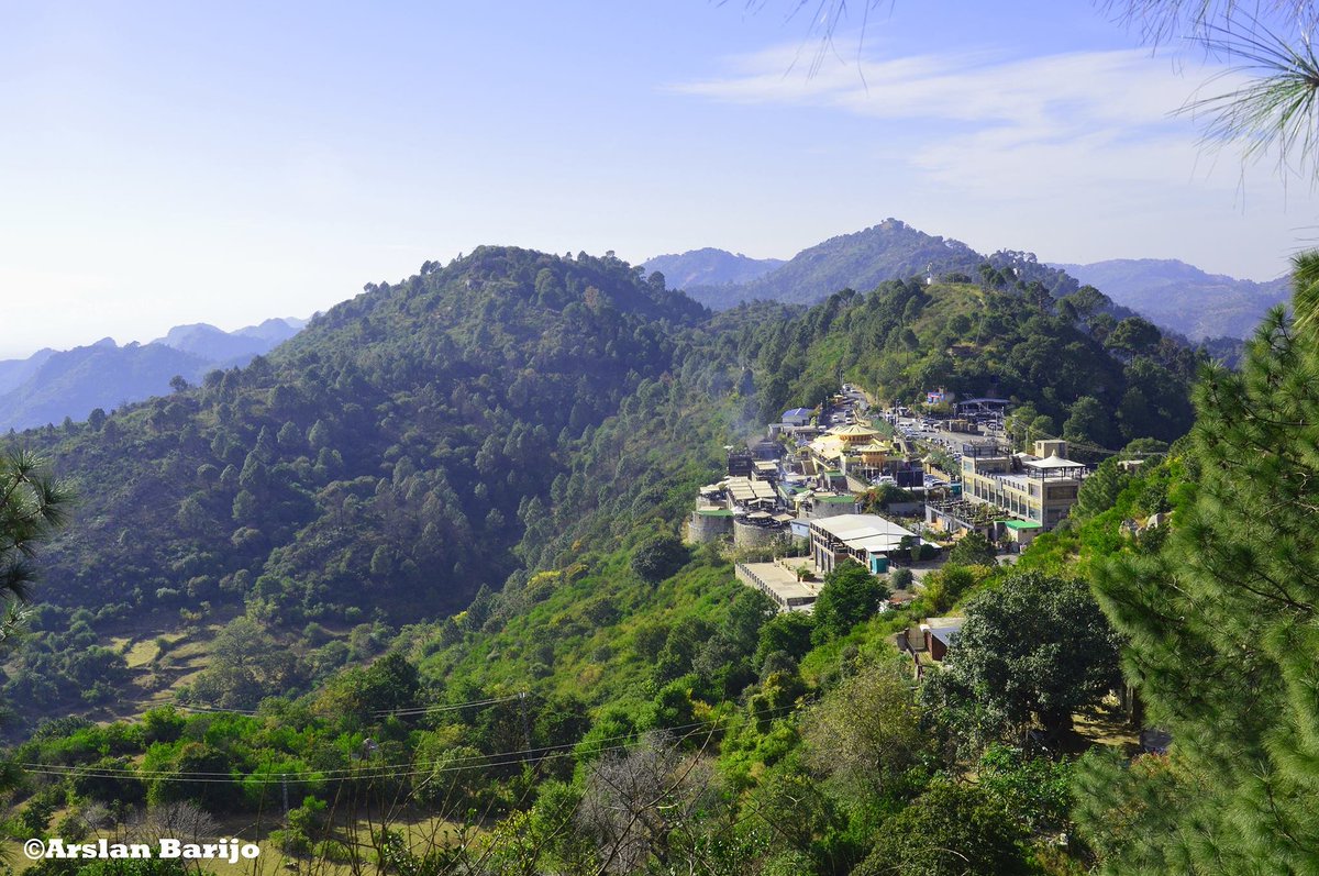 arslanbarijo's tweet photo. View of #Monal from #Trail3 #Islamabad  #TravelPakistan #WelovePakistan #Photo #Stories #Wanderlust #Traveller #visualartist #Blogger #Storyteller #photography #discoverpakistan #travelbeautifulpakistan #Pakistanisflying  #Explorationdream #pakistanzindabad #BeautifulPakistan https://t.co/FNtTqcKU9Z