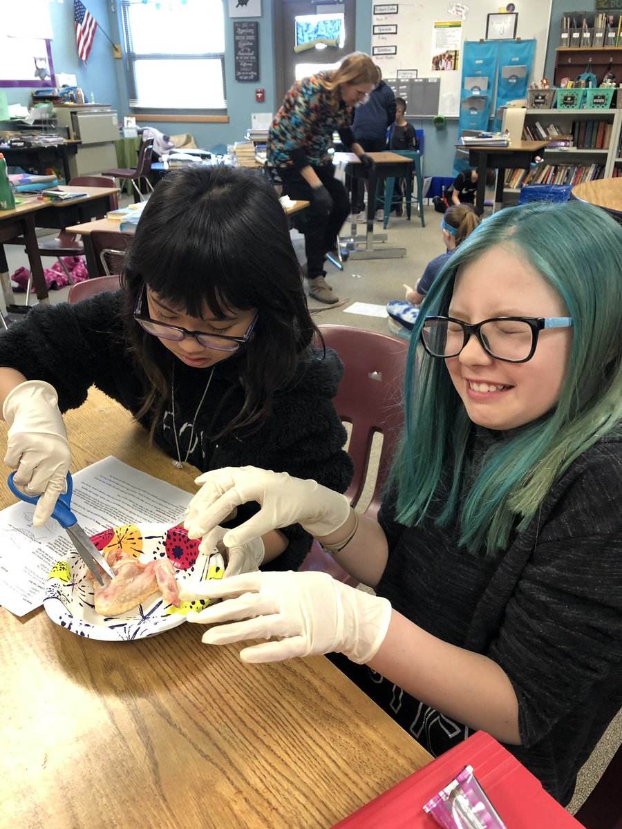 bhelementaryco's tweet photo. Nothing like some hands on science. 5th graders dissecting chicken wings. https://t.co/u6H5zqZ35g