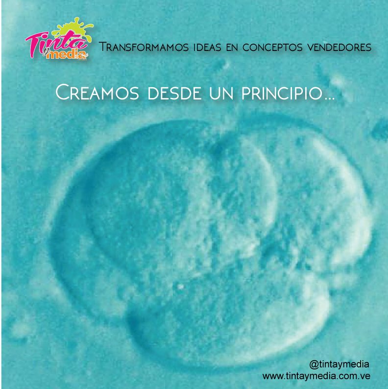 mariselaleite's tweet image. Emprendedores.. creamos desde el principio su marca para su negocio o producto #design #remotework #remotedesign #networking #diseño #publicidad #Creative #rrss #america #rrss #europe #eeuu #miami #puertorico #republicadominicana