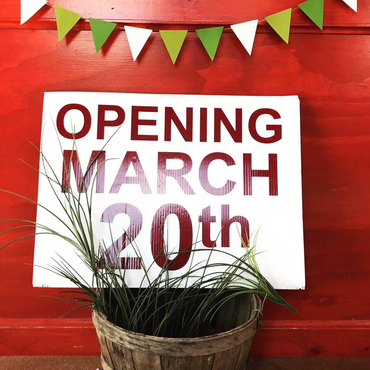 theicecreambarn's tweet photo. We open tomorrow! Spring is Tomorrow! Yay! 🎉🌱💐💫🍦💕 #TisTheSeason #March20 #FirstDayOfSpring #TheIceCreamBarn #IceCreamBarn https://t.co/gvVhfealNq