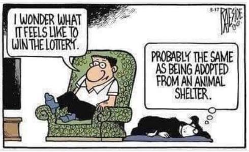 _DogsAndBooks's tweet photo. 💜🐕❤️
#dogsmakeeverythingbetter #rescuedog #lovedogs #dailyfluff #doggolove #shelterdogs #AdoptDontShop #dogsandbooks https://t.co/5LKl7L9mQL