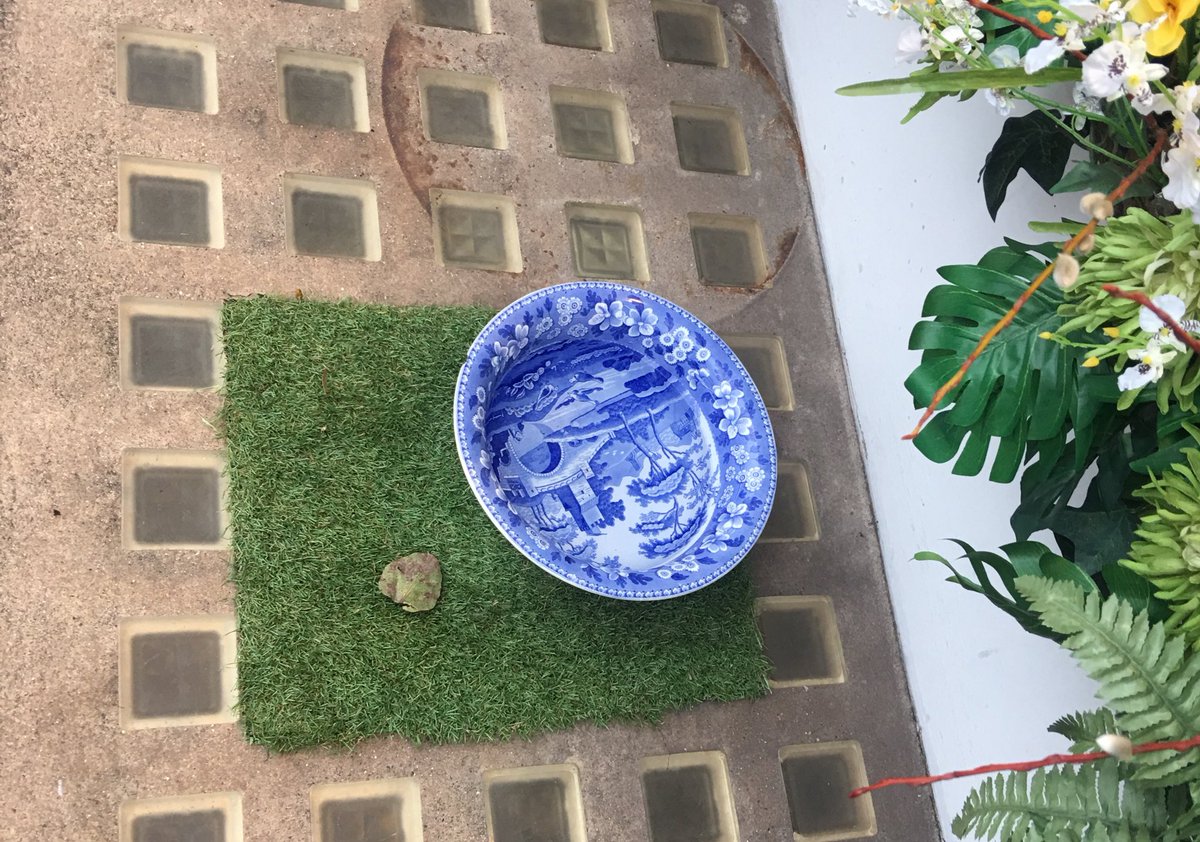 Fiona Esom tweet media