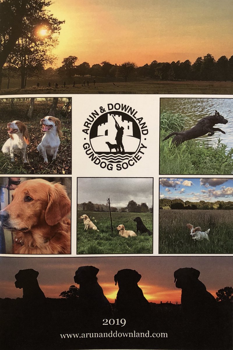 Gun Dog Gin tweet media