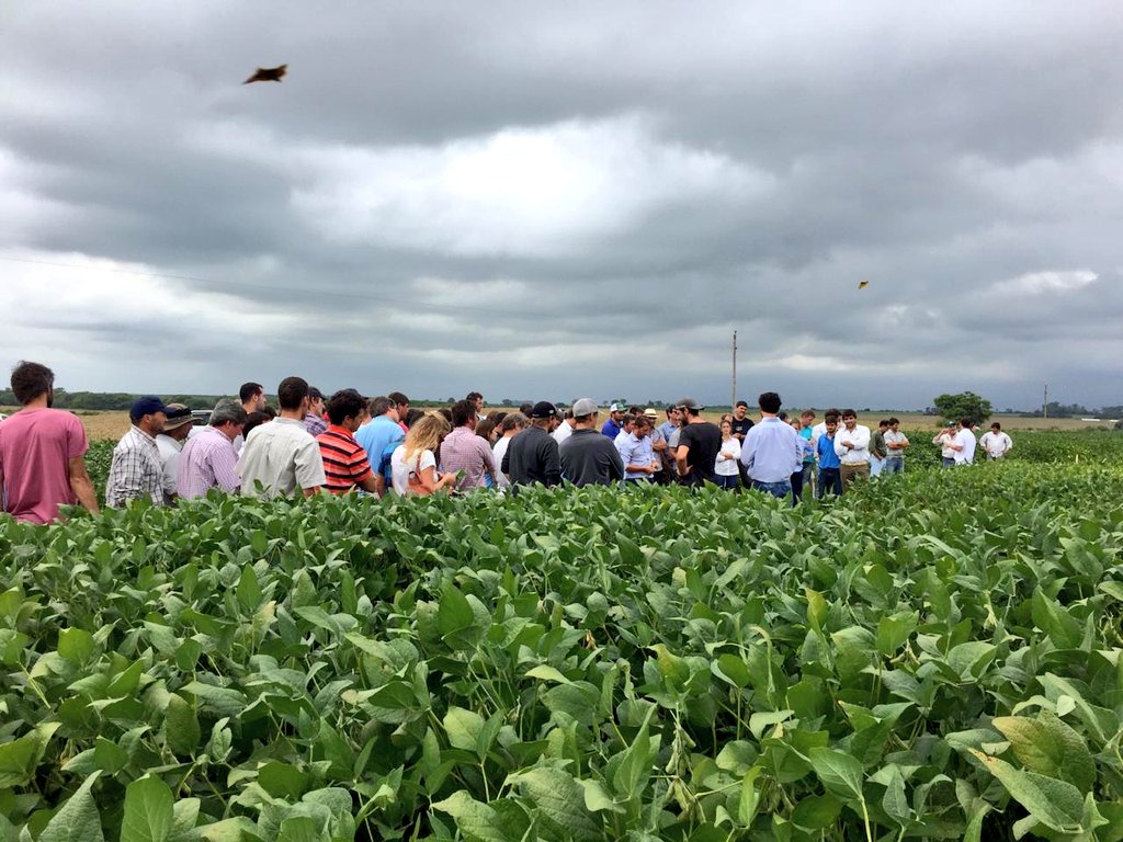 crea_arg's tweet photo. Hermosas postales de la recorrida de #Gruesa1819 en @crealitoralsur ☁️📸 Visita a ensayos de #Soja y #Maíz ➕ presentación de resultados de #Trigo en #IntaVictoria con @Paola5535915 y Marcelo Di Nápoli 🌱🌽🌾#SomosCREA https://t.co/ArSRQ80K8O