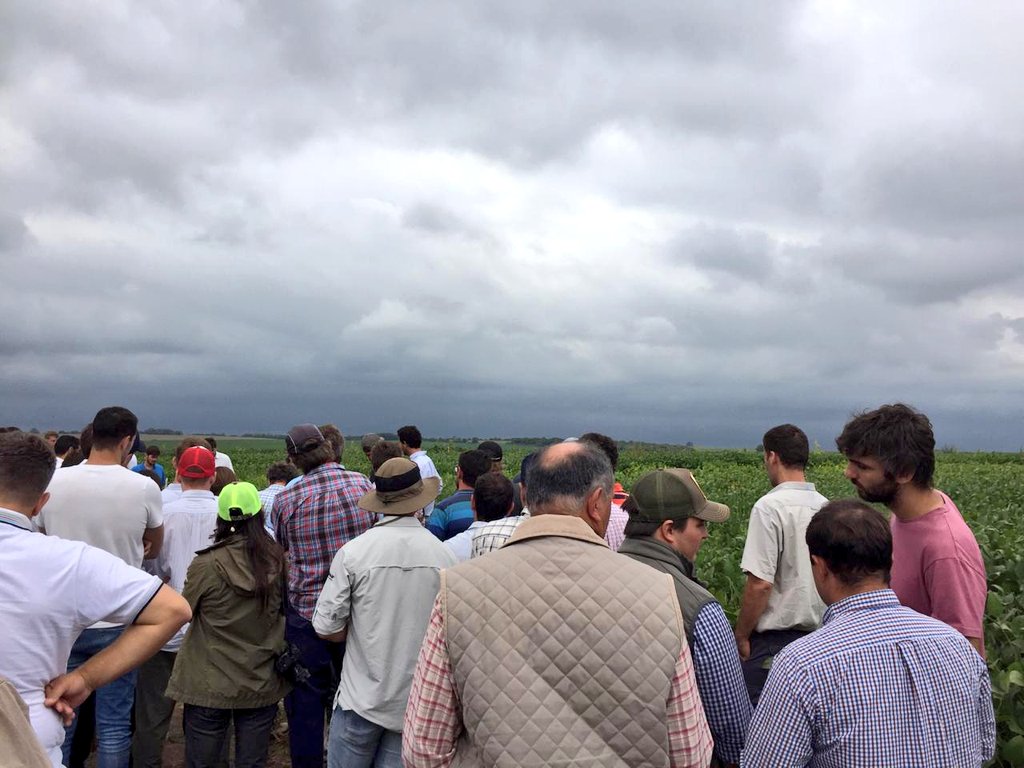 crea_arg's tweet photo. Hermosas postales de la recorrida de #Gruesa1819 en @crealitoralsur ☁️📸 Visita a ensayos de #Soja y #Maíz ➕ presentación de resultados de #Trigo en #IntaVictoria con @Paola5535915 y Marcelo Di Nápoli 🌱🌽🌾#SomosCREA https://t.co/ArSRQ80K8O
