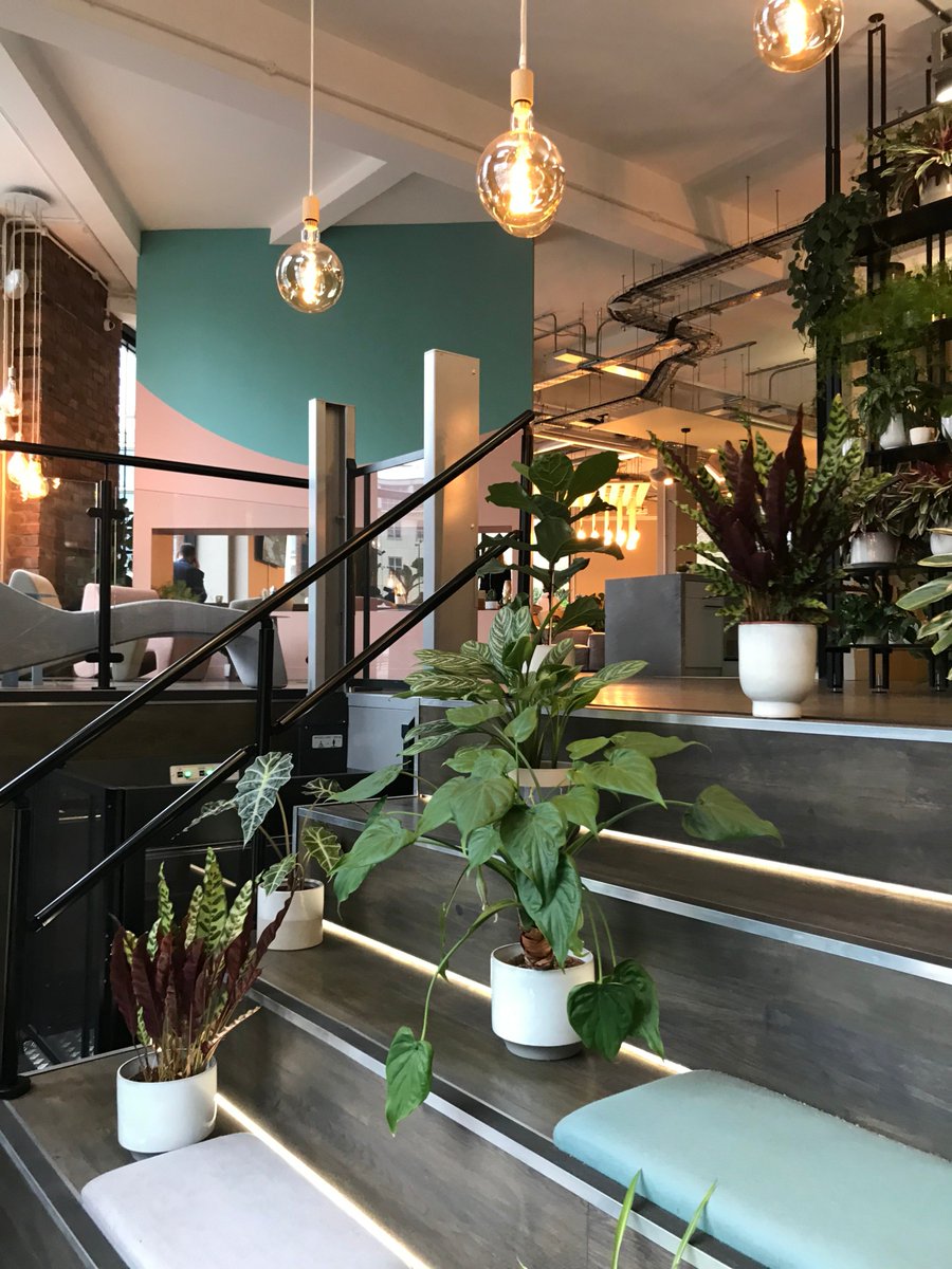 GreyInteriors's tweet image. Talking of #trends #Amphitheaters We visited @Uncommon_space today and we loved theirs 

#officedesign
#trendingtuesday
#agileworking
#ampitheater
#thinkingspaces
#lovework
#designandbuild
#uncommonspace
#coworking
#plants