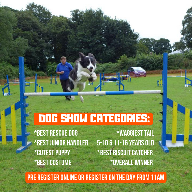 CancerCareLocal's tweet photo. There's just 5 DAYS to go until BARK IN THE PARK, this Sunday at Happy Mount Park, Morecambe! 

As well as an agility course and dog and bone treasure hunt, we've got a fun dog show with all these amazing categories! 

Sign up online or on the day from 11-11.45am. https://t.co/pUC7ElZb3X