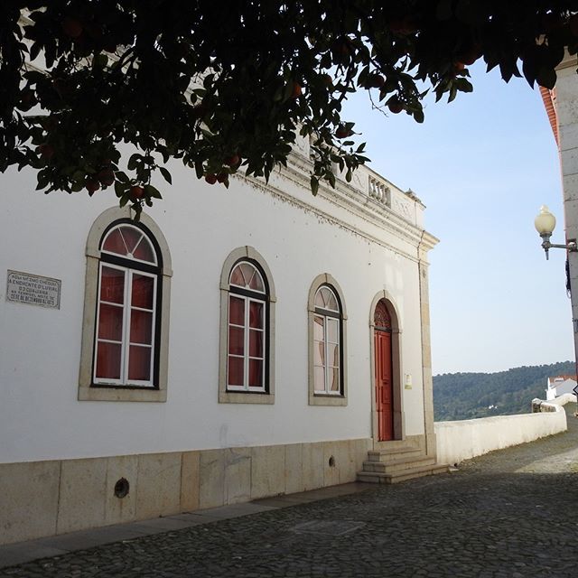 BeckyinPortugal's tweet photo. And just in case you didn't believe me earlier here's the proof!.The small sign on left is the marker for the 1876 flood.⠀
⠀
Now look back at the other shot to see again how high we are!⠀
⠀
#flooding #alentejo #dramaticevent #floodlevels #portugal #h… https://t.co/CvIZNQ3nyp https://t.co/tFYZd200am