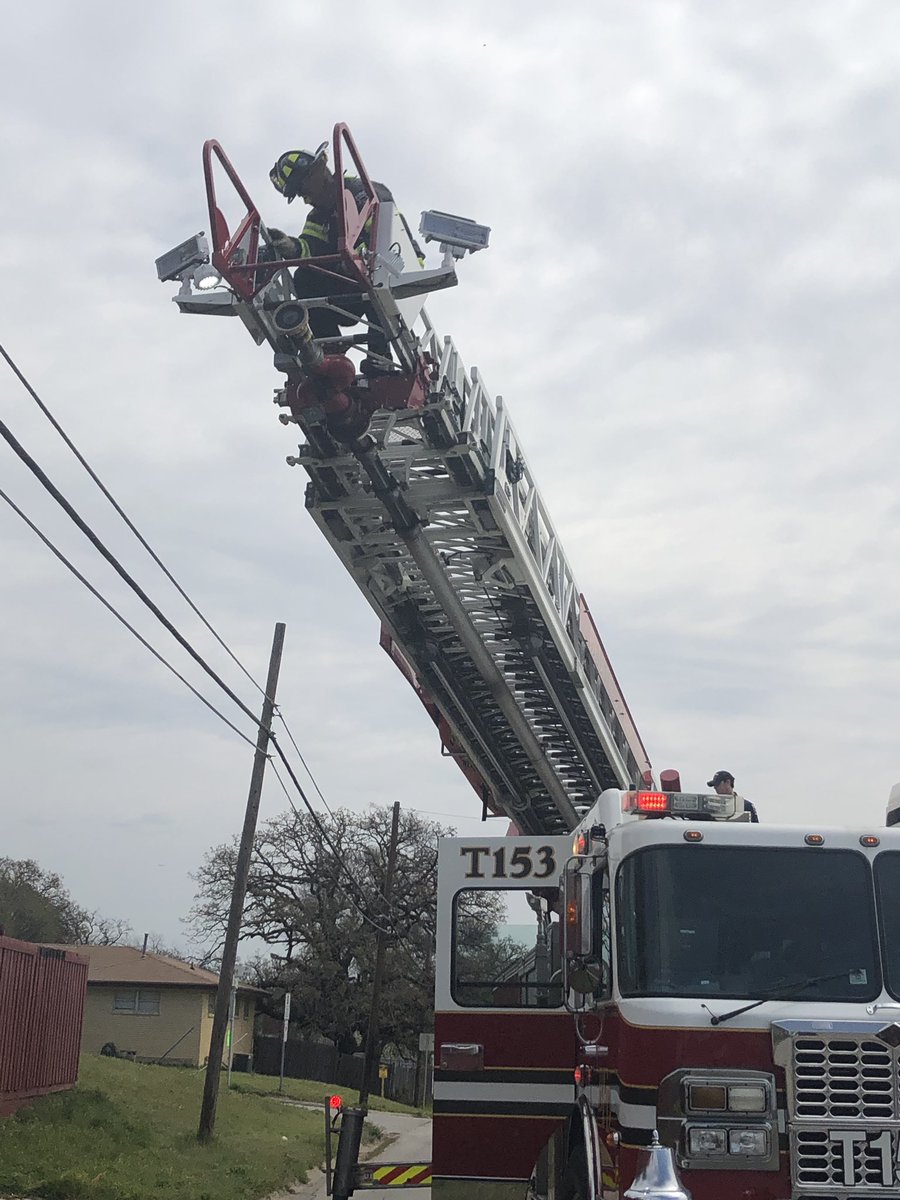 monique hall tweet media