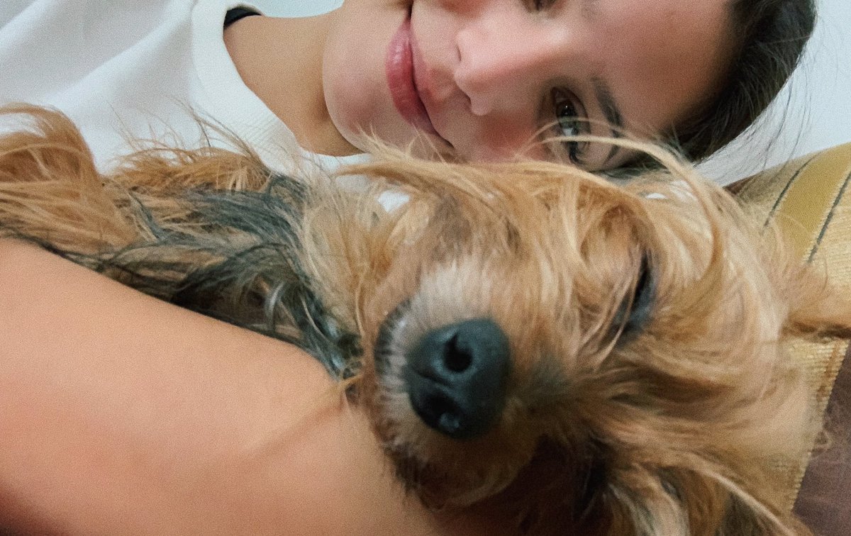 emimernes_'s tweet photo. Él es lo más hermoso que tengo. Me muestras tu mascota ? 😊 https://t.co/Cn1WWUgzi1