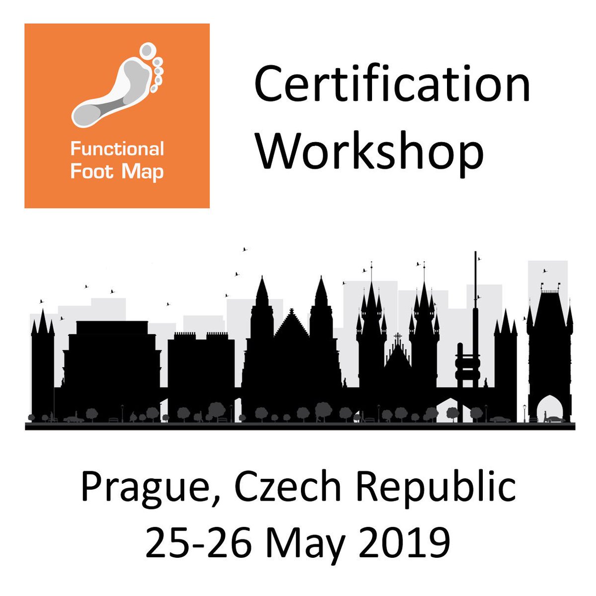 Prague Certification Workshop. The Functional Foot Map is a practical footprint analysis system that can be easily integrated into both clinical and gym environments #checkthefootprint functionalfootmap.com/collections/ce…