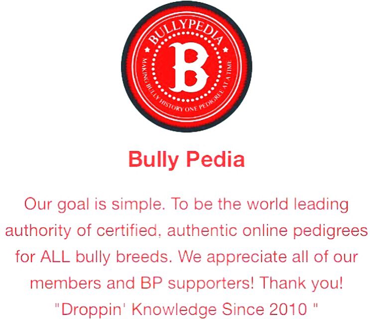 bullypedia's tweet photo. #BullyPedia #americanbully #bullybreed #pedigrees https://t.co/vEgqyLqHPA