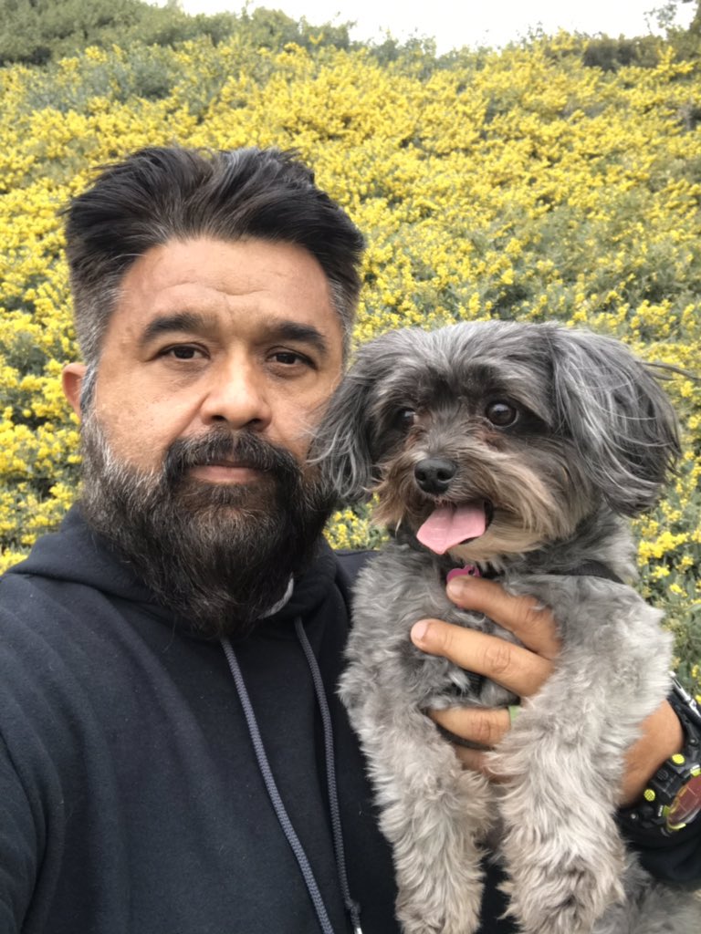 DISFIT4JnG's tweet photo. It’s Never to late to start all over again. @zoeyv1 and I getting 2 miles in. #Zoey #RunningPuppy #Run #Runner #Running #WalkRun #RunDisney #IRunDisney #WeRunDisney #RunnersLane #TRLTribe https://t.co/MreP4gQi2I