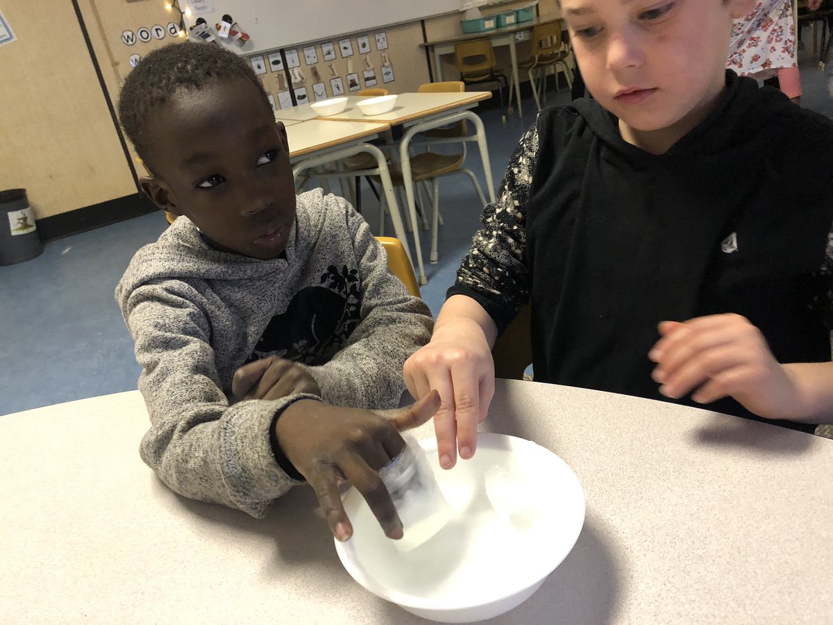 MsCPearsall's tweet photo. What to experience how some Arctic animals keep warm? Join as conferences Thursday and Friday and you can join in the fun too! @GWSCampbell https://t.co/njEKNtlW6y