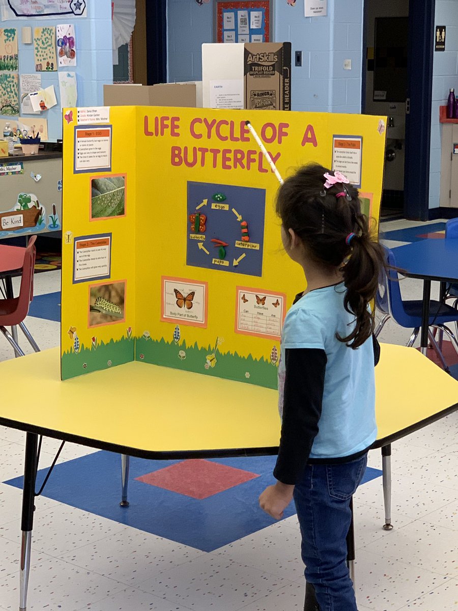 Science Fair 2019! <a href="/WoodbrookSchool/">Woodbrook School</a>