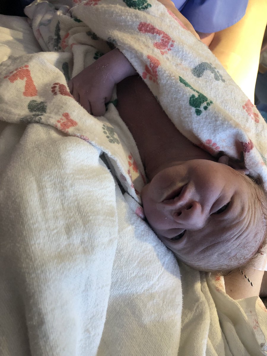 coraa_thomas's tweet photo. On this exact day 3 years ago, i met my bestfriend and love of my life. Today, 3 years later on March 19, 2019, we finally had our little man. 💙

Kamden Ray Kmiec
3:58 pm
8 lbs, 4 oz
21 inches long https://t.co/aAsCpa0ZUH
