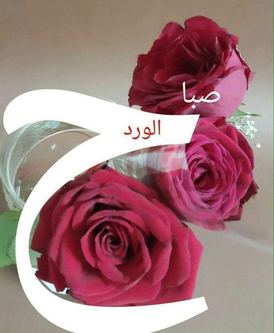 يارب بلغنا رمضا ن  لا فاقدين ولا مفقودين 🙏🏻#اللهم_بلغنا_رمضان__
