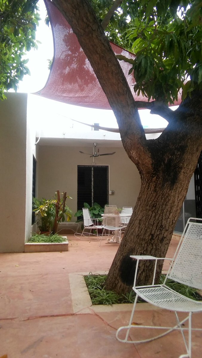 Franzi1066's tweet photo. Franzi is checking out the new digs of Casa Central in Merida #Franzi https://t.co/X4h6RhWK25