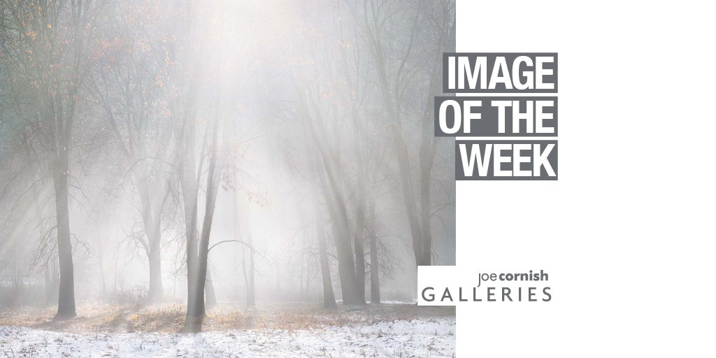 jcornishgallery's tweet photo. 'Oaks, Mist, Melting Snow, Yosemite' by Charles Cramer, captured following a March snowstorm, where the snow, sun and steam snow combine to create a magical scene.

https://t.co/4hxc76QOPo

#joecornishgalleries #CharlesCramer #landscape #photography #yosemite #artcraftsoul https://t.co/o4Kn4bxpwq