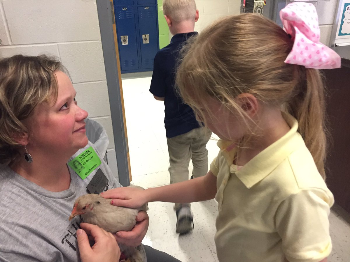 NorlieRene's tweet photo. First grade learned more about chickens today @NolaKWilson ! Thank you, Texas A&amp;M Agri Life Extension! https://t.co/NsODK4twEV