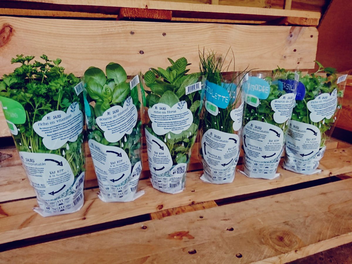 AngelRo89139579's tweet photo. TOUT FRAIS TOUT BIO ! C'est le printemps et nos jeunes pousses BIO #finesherbesdefrance élevées en Anjou ont mis leur habit de circonstances. Graines bio, pot et emballage compostable, 100 %renouvelables : BIO, locales et durables ! #BioED #feef #RSE https://t.co/VYRysc2fbE
