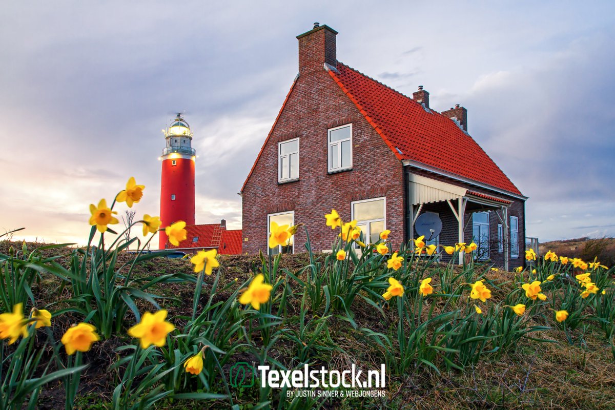 TexelStock's tweet photo. De mooiste lente-foto's voor uw website!
https://t.co/8N0ikwKh6S
#Texel #texelstock #lente #vuurtoren #strand #duinen #natuur #bloemen 
Foto: Justin Sinner Pictures - Fotografie https://t.co/aOcgwaMDPF