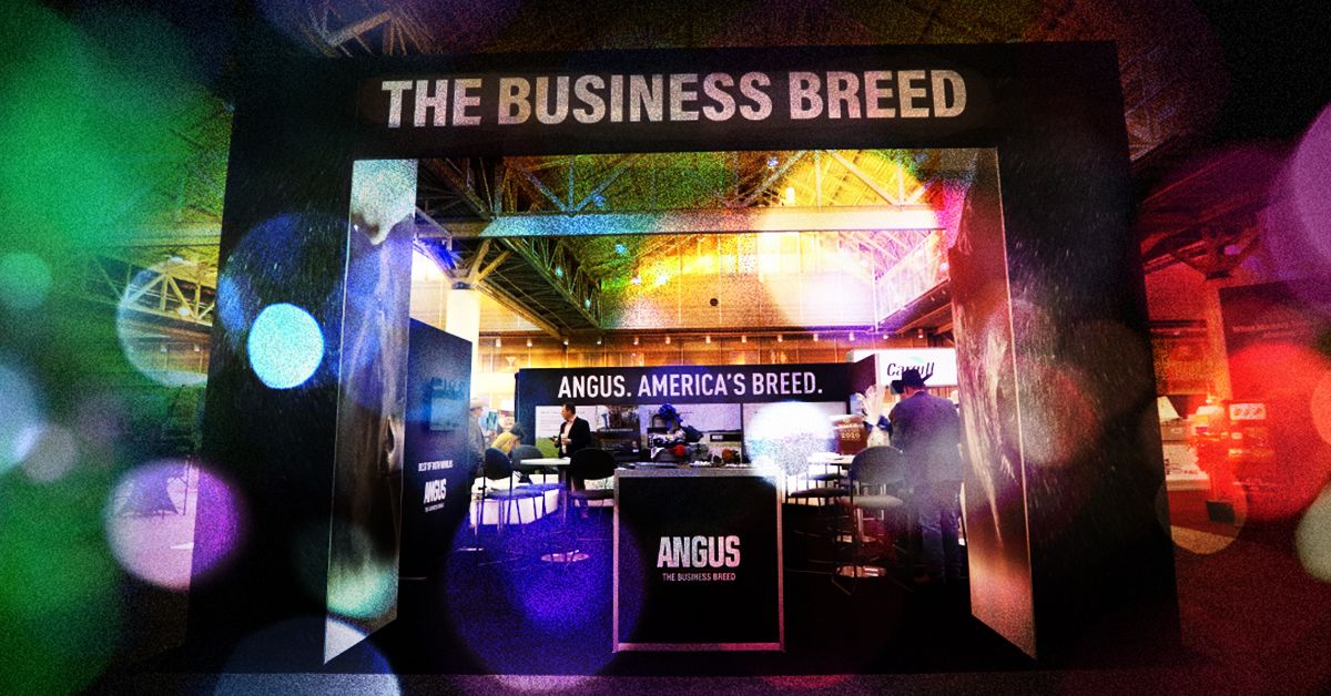 AJeditor's tweet photo. Weren’t able to join us at #AngusConvention in November? We’ve got you covered. Catch the highlights in the February #AngusJournal! 🐮
{https://t.co/vNEzW9iKVI} https://t.co/AONbgx1Clj