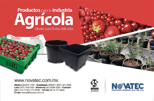 TecnoAgroMX's tweet photo. ✔️Como empresa líder en el mercado de contenedores de plástico. @Novatec_Pagani, cuenta con la maquinaria más moderna, la más avanzada tecnología y un personal altamente capacitado. En @TecnoAgroMX nos sentimos orgullosos de trabajar con los mejores. #Compromiso #calidad https://t.co/FM27SHQmYI