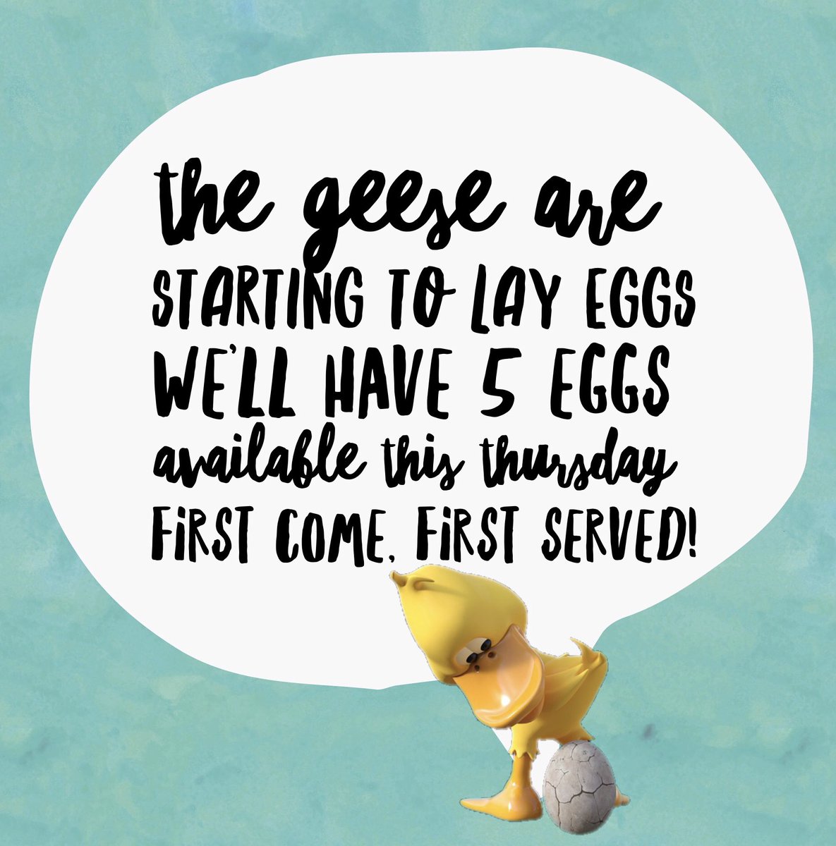 TowcesterCountryMarket tweet media