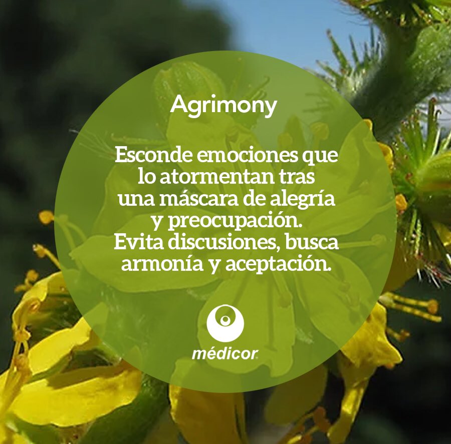 Lab_Medicor's tweet photo. Las #FloresDeBach ayudan a restablecer tu salud emocional; conoce las bondades.
🌼 Agrimony para aquellos que esconden emociones tras una máscara de alegria. 
Dosis homeopáticas #LaboratoriosMédicor #homeopatía https://t.co/nIwWhXtMhQ