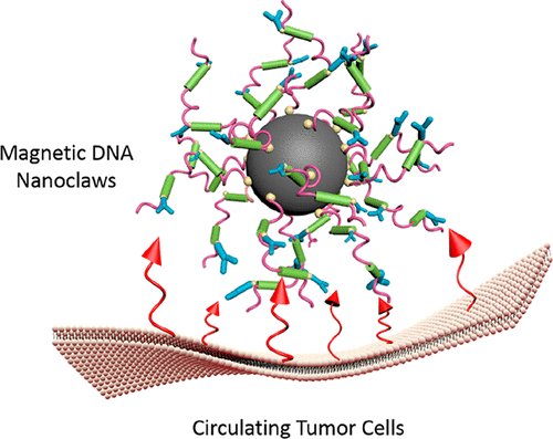 nanotrac's tweet photo. ACS AMI [ASAP] Virus-Mimicking Cell Capture Using Heterovalency… https://t.co/tVxRC94DkO Via @ACS_AMI #ACSAppliedMaterialsAndInterfaces #InterdisciplinaryCommunity #ScienceJournal #EnergyApplications #FunctionalNanostructuredMaterials #CoatingMaterials #InterfacialProcesses https://t.co/wlkA2qL4KF