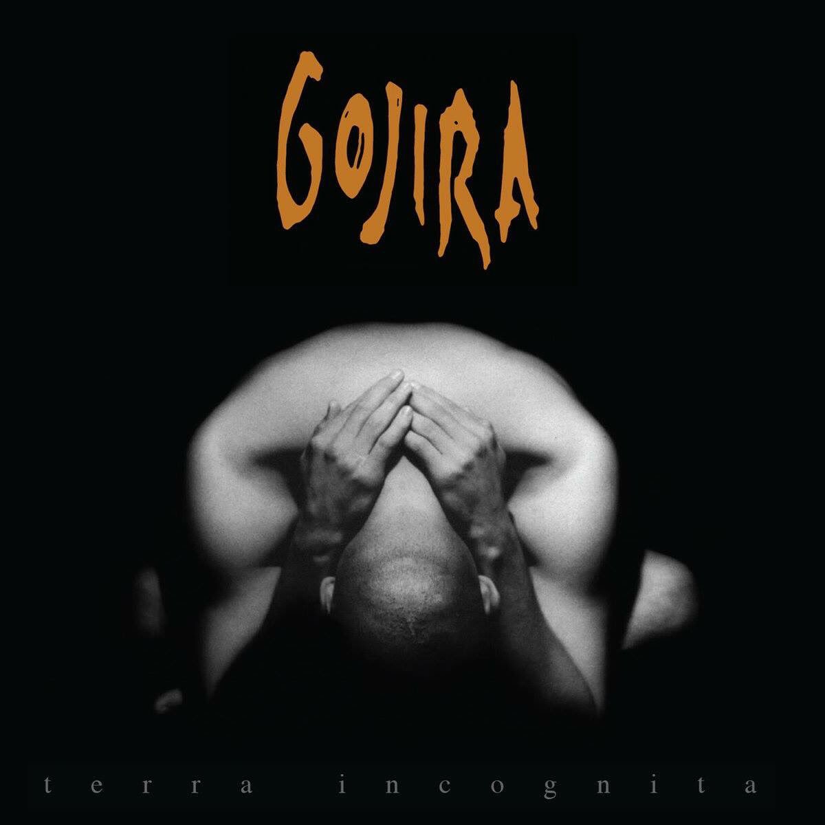 ThisDayInMETAL's tweet photo. Mar 19th 2001 @GojiraMusic released their debut album “Terra Incognita” #Clone #LizardSkin #Rise #SpaceTime #FireIsEverything #DeathMetal
Did you know...
The man posing on the album cover is guitarist Christian Andreu. https://t.co/gUvsTZ0T3a