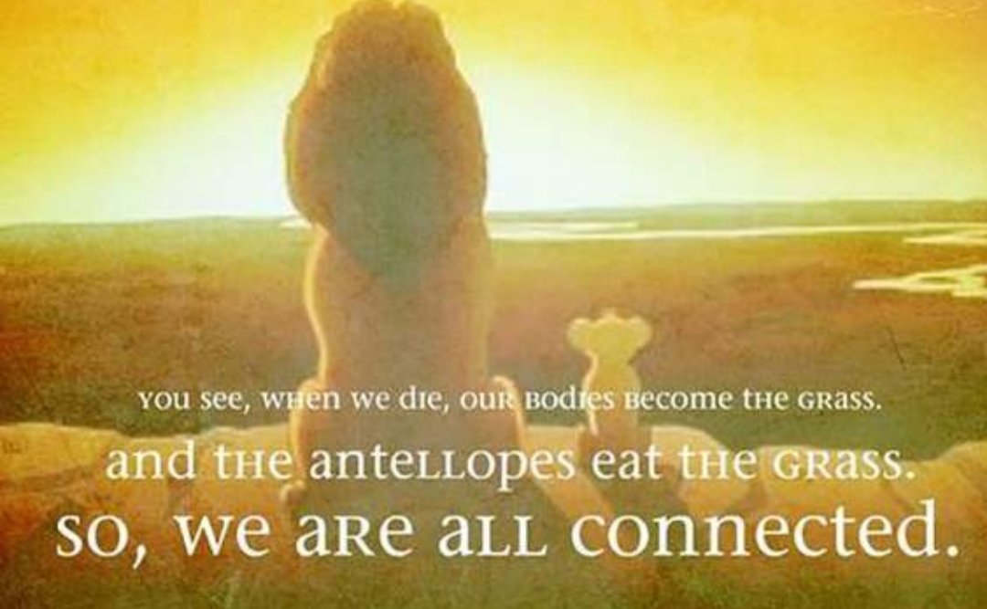 primalwanderer's tweet photo. @ukmav @KarlvanBeek @madddiebevacqua @EngineerDiet @selltheworld @Cynwel73 @GoVeganAndDie @travis_statham @cerebralsymphoy @hilltopgina @PlantBasedNews @KetoAurelius @CarnivoreKeto @Dave06031956 @ZeroCarbSarah Id be interested in reading evidence of that. The 1st rule of organic farming is "feed the soil, not the plant." To my knowledge NPK is required for plant growth- &amp; only available via fossil fuels/ animal products. #ruminantsrule https://t.co/YHaut1nm33