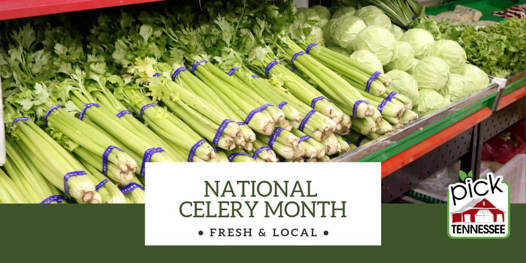 PickTnProducts's tweet photo. Ranch dressing, peanut butter, hummus! So many great ways to eat celery. What's your favorite celery snack combination? #celerymonth #PickTN https://t.co/fDHXQ6h3gb