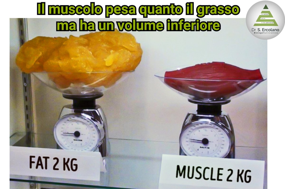 Nutriercol's tweet photo. Non siamo solo un numero https://t.co/OzbbMg3Wtp