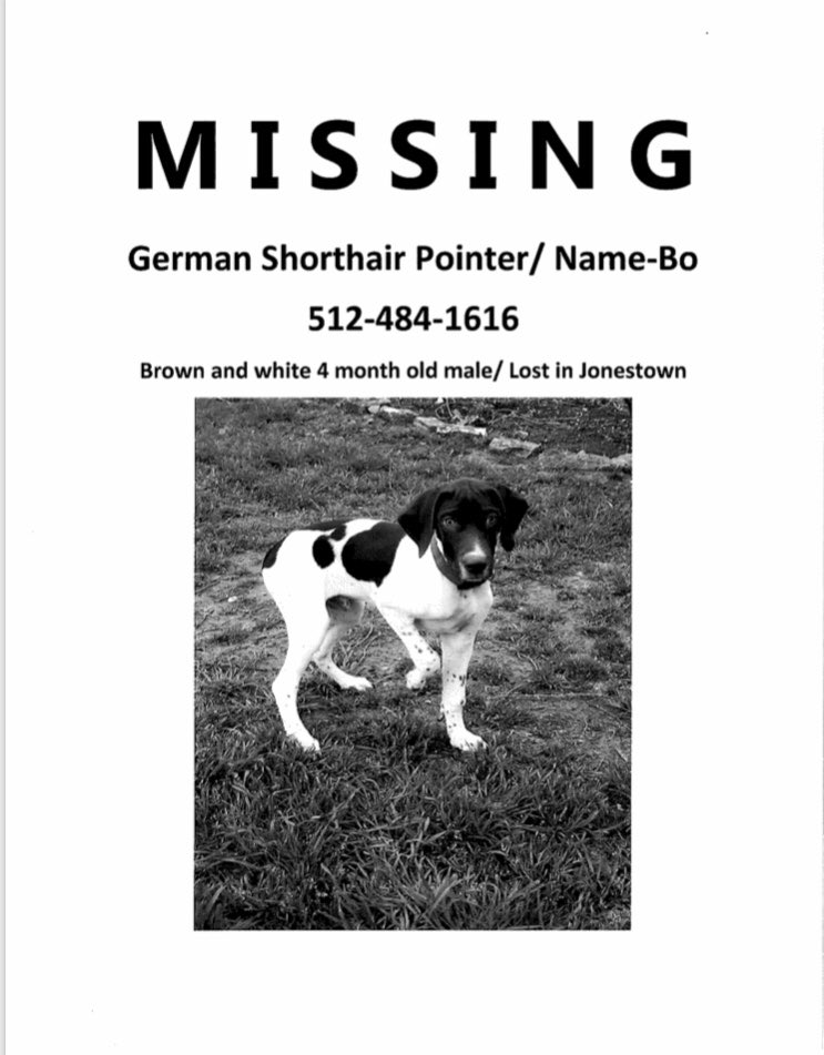 JonestownPolice's tweet image. Has anyone seen Bo?