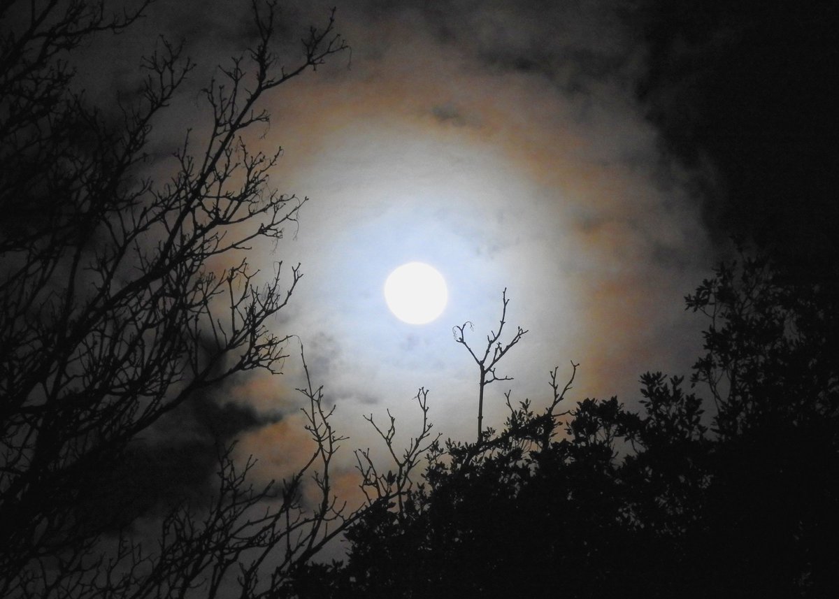 mildthing99's tweet photo. Cloud breaks providing great views of the #WaxingGibbous (97.6%) #WormMoon #LentenMoon #CrowMoon #CrustMoon #ChasteMoon #SugarMoon #SapMoon #SurreyHills @StormHour @EarthandClouds @metoffice @ThePhotoHour @DavidBflower #StormHour #earthandclouds #loveukweather #getoutside https://t.co/FMXcnrmcaw