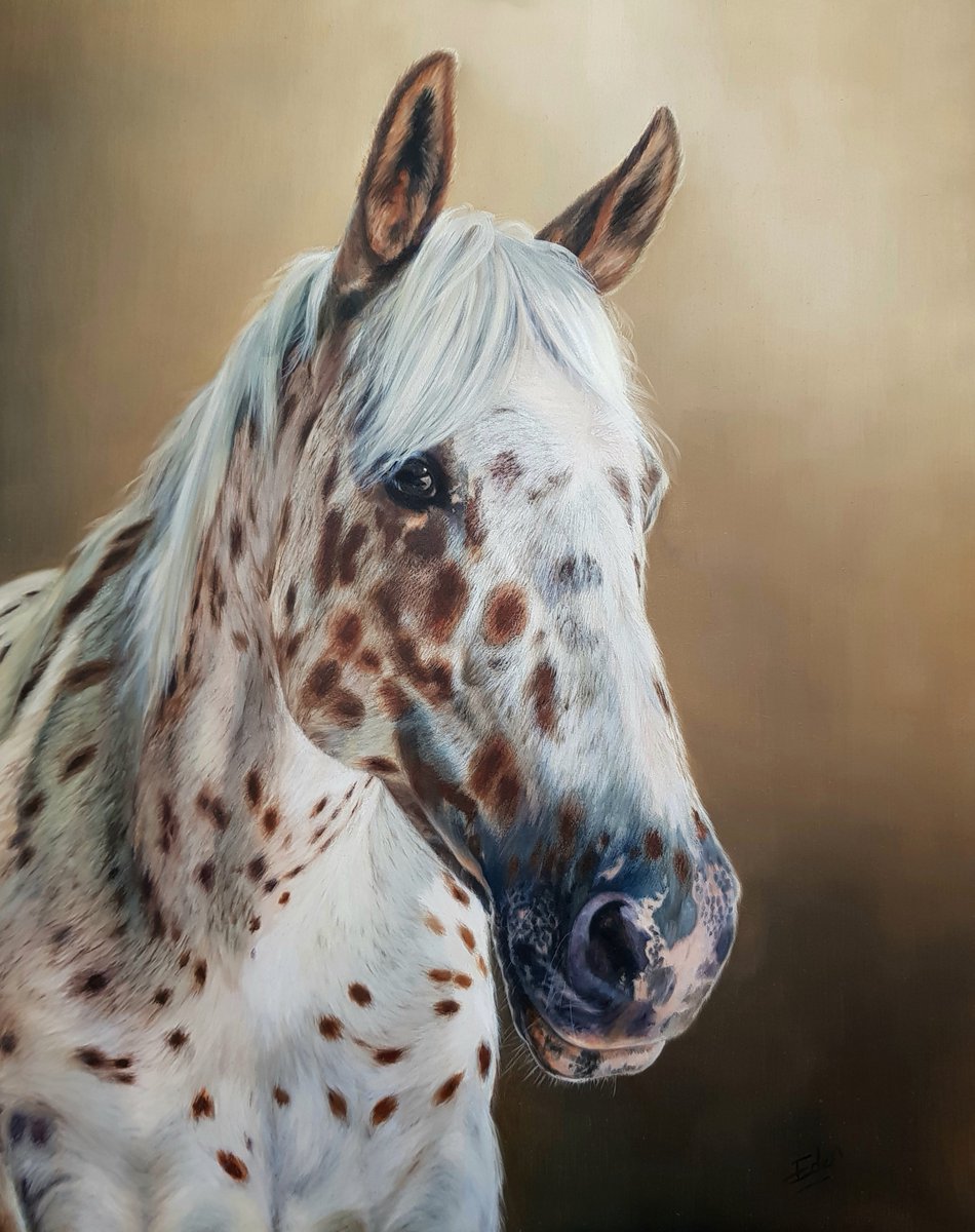 'Sancho', oil on board, 16 x 20'. The patterning on this #appaloosa was challenging to say the least! 🐎 

#equine #horseportrait #oilpainting