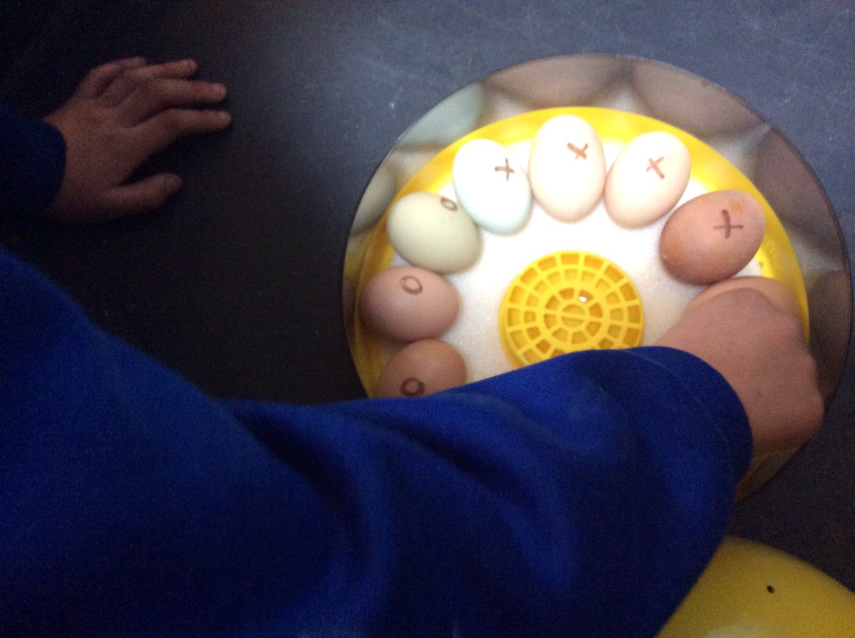 St Cedd's C of E tweet media