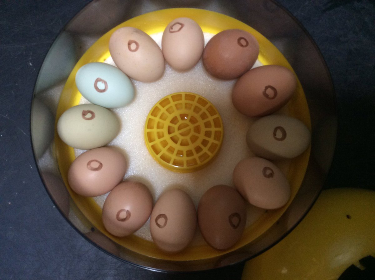 St Cedd's C of E tweet media